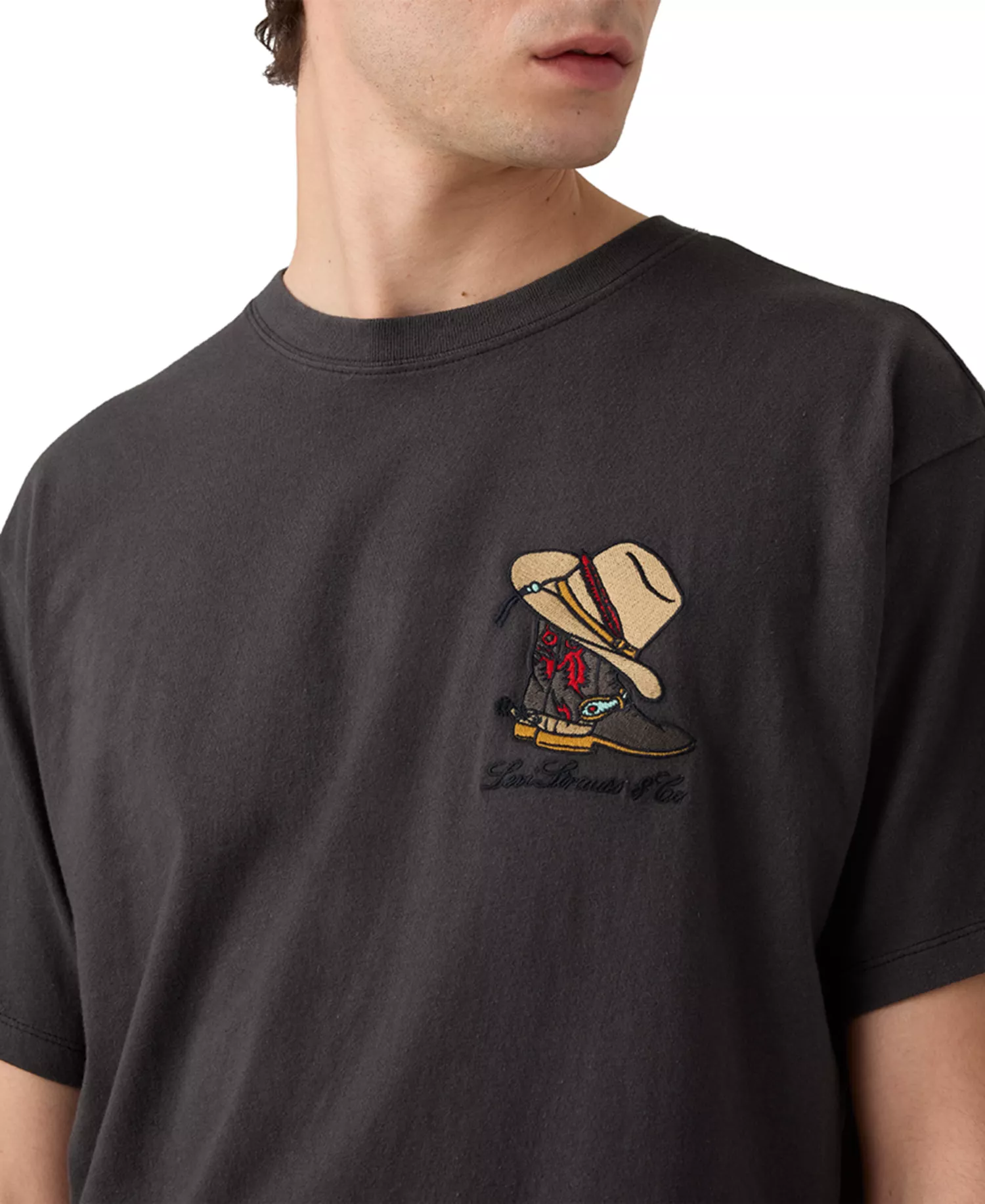 Men's Graphic Vintage Relaxed-Fit T-Shirt - Bison - 2XL