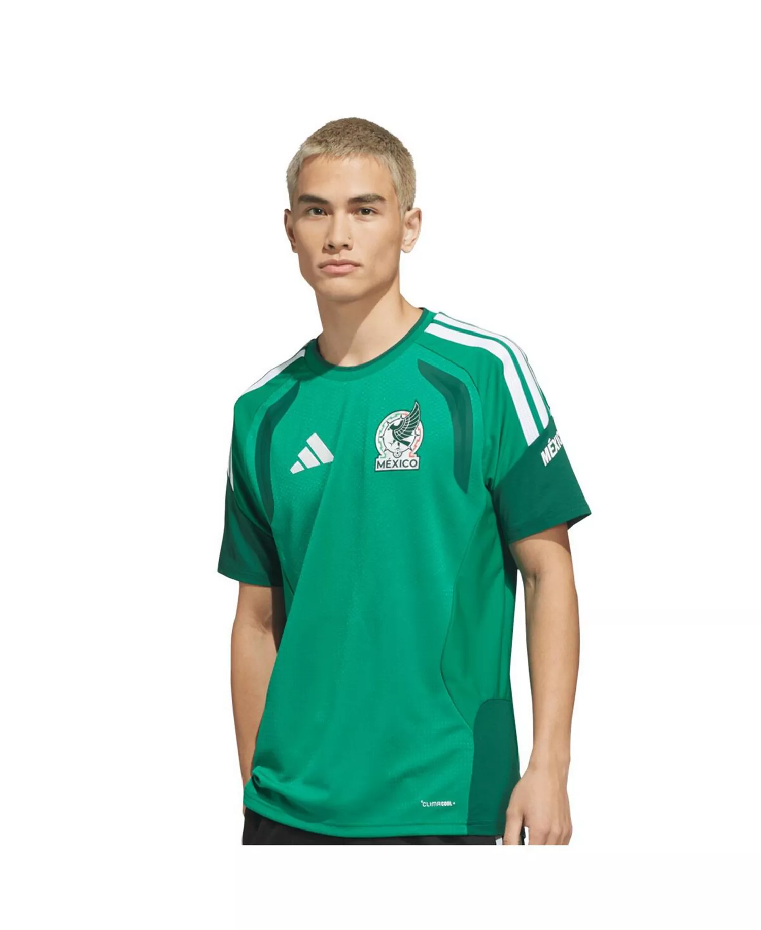 Men's Green Mexico National Team FIFA x World Cup 2026 Tiro Pro Training Jersey - Green - 2XL