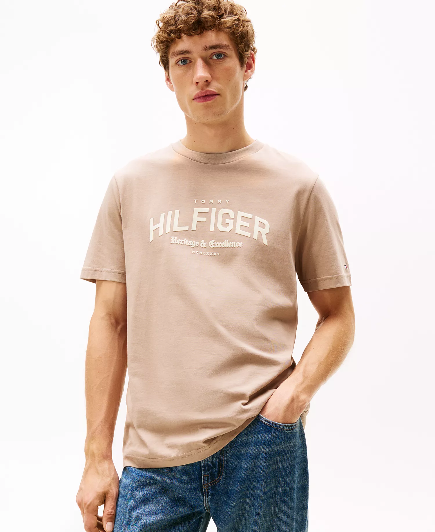 Men's Hilfiger Arch Graphic T-Shirt - Coastal Taupe - XL