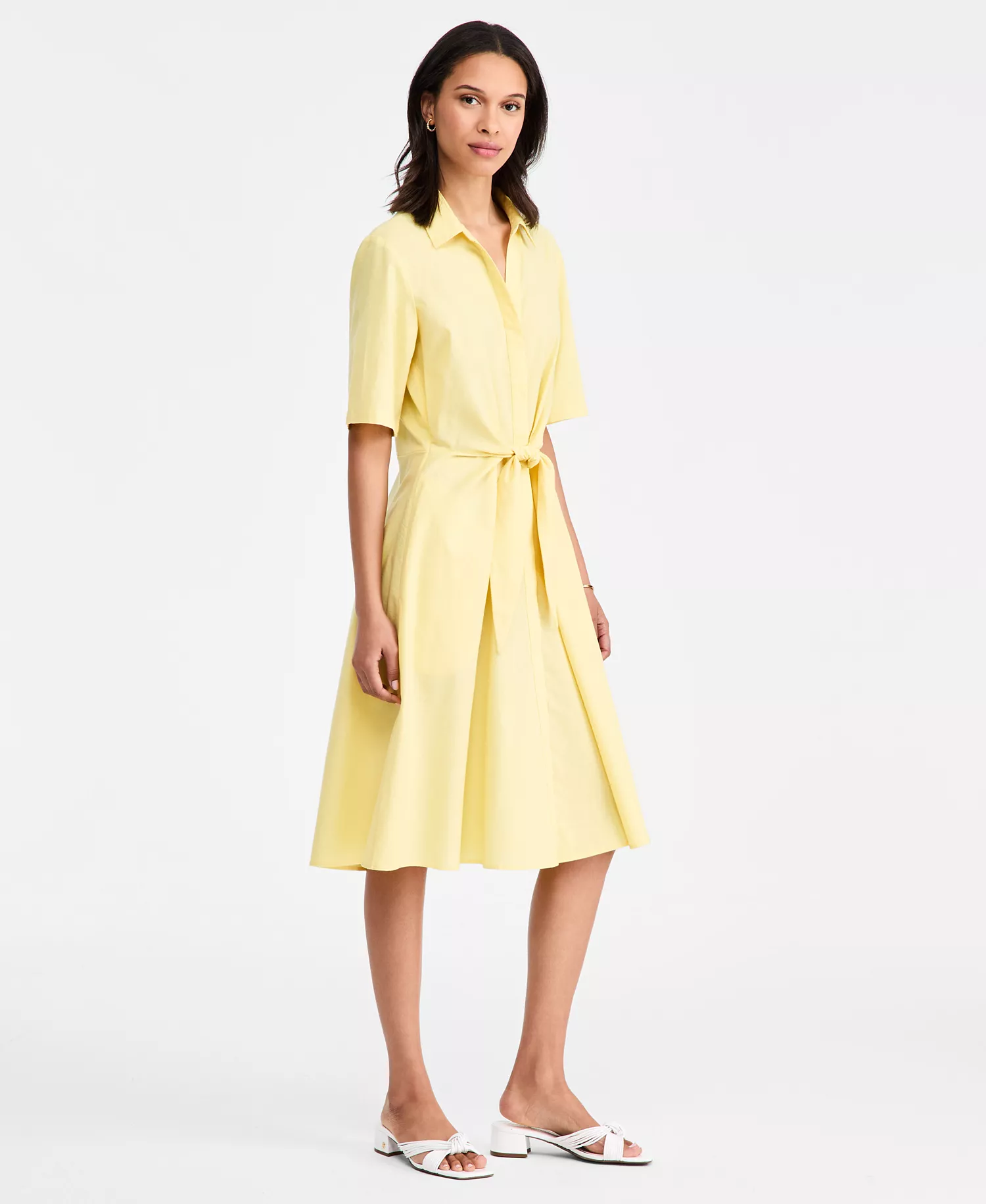 Women's Linen Belted Midi Dress - Citronella - L