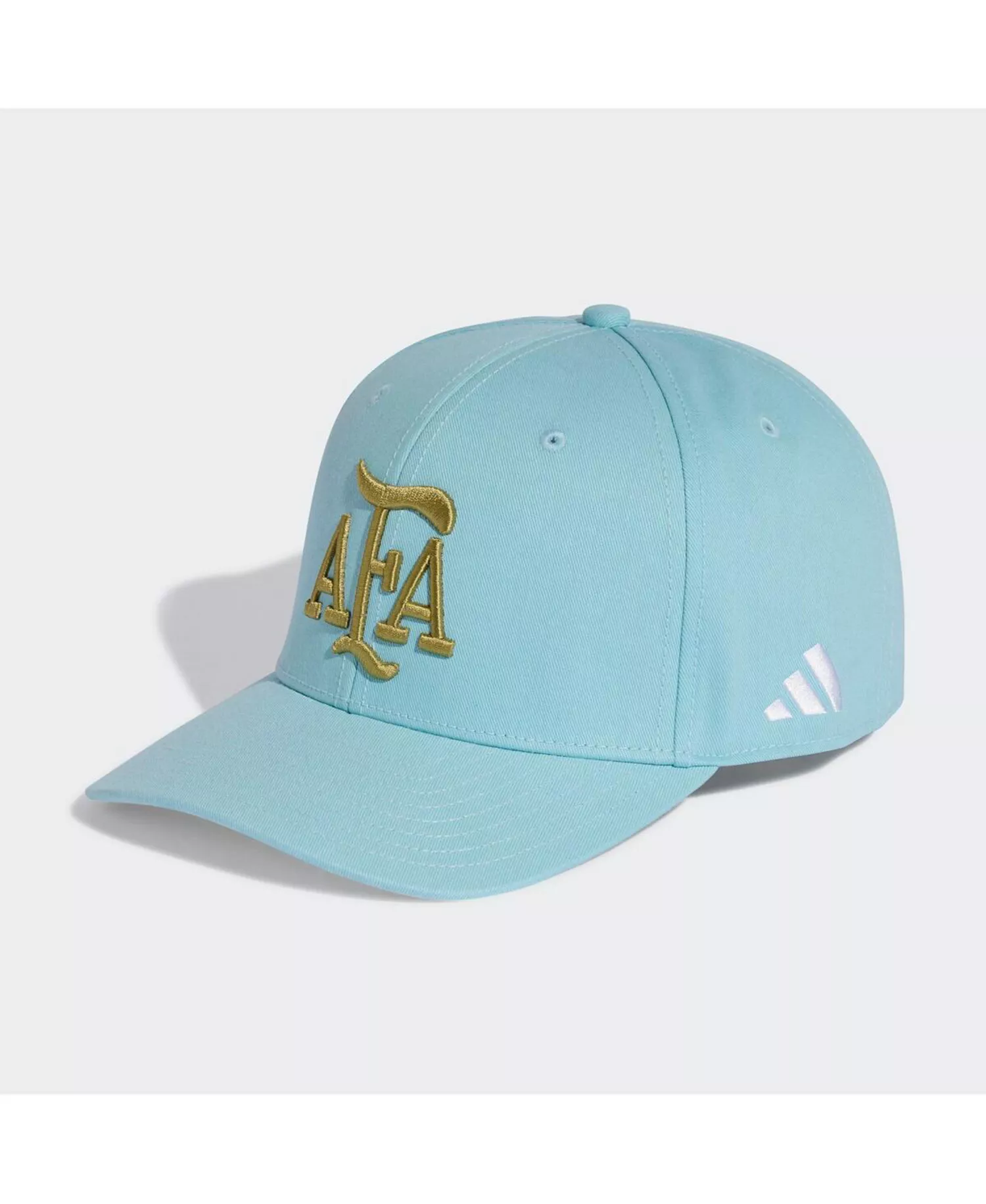Men's and Women's Light Blue Argentina National Team FIFA x World Cup Team Snapback Hat - Light Blue - ONE SIZE