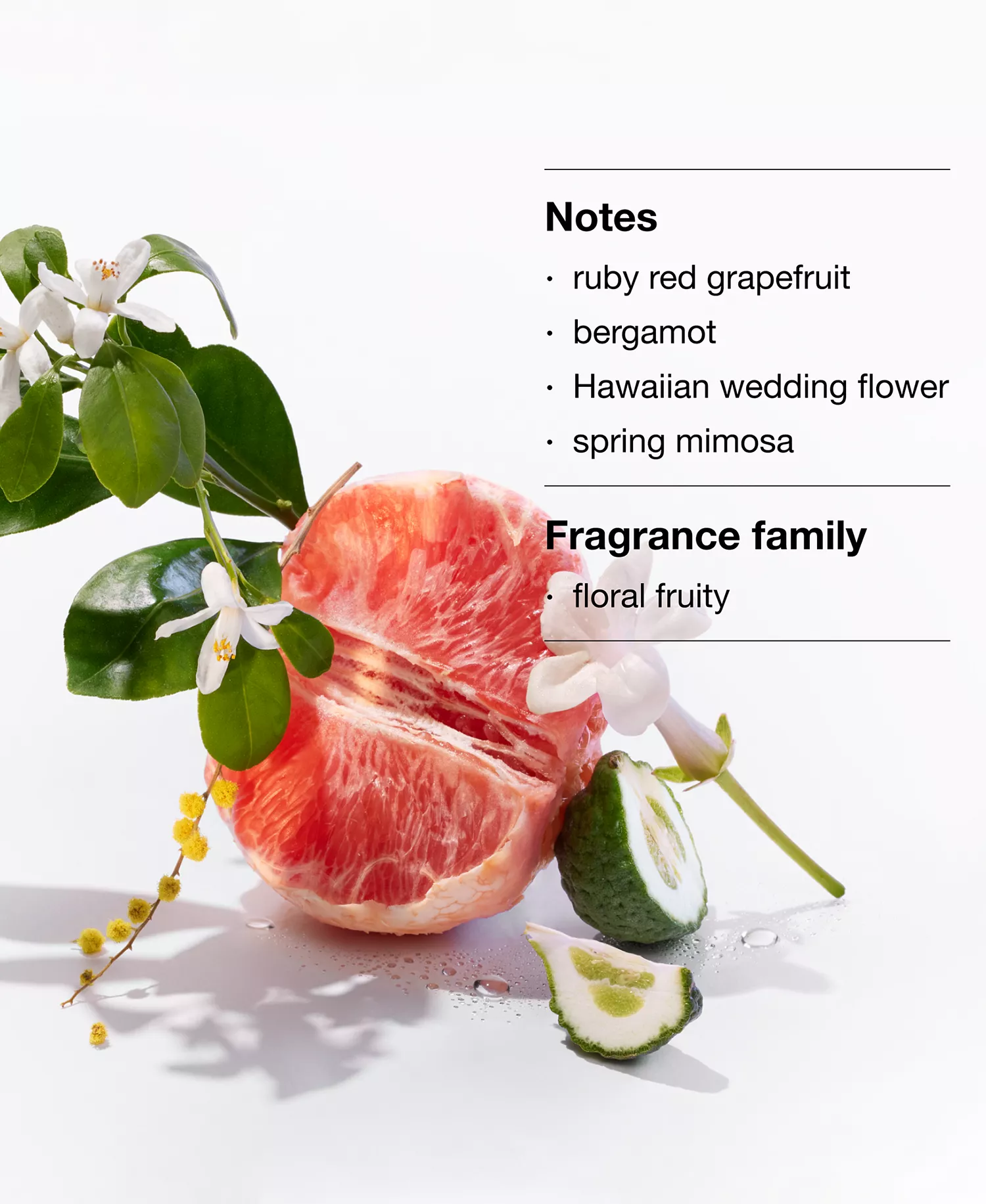 A Little Happiness Perfume Mini Gift Set - A $44 Value, Created for Macy's - No Color - No Size