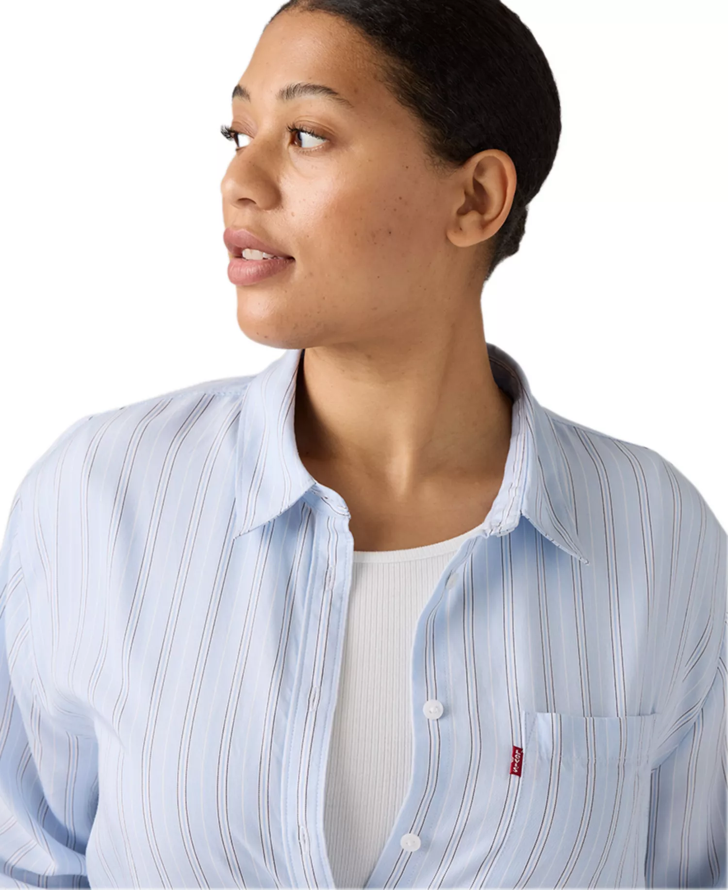 Plus Darlene Chikee Stripe Chambray Shirt - Chikee Stripe Chambray - 1X