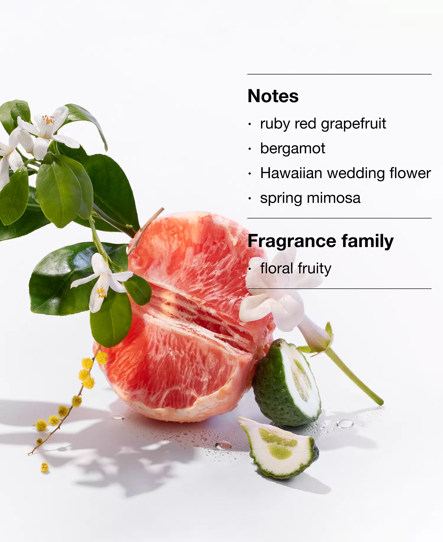 2-Pc. Happy Little Things Fragrance & Lip Gloss Gift Set - No Color - No Size