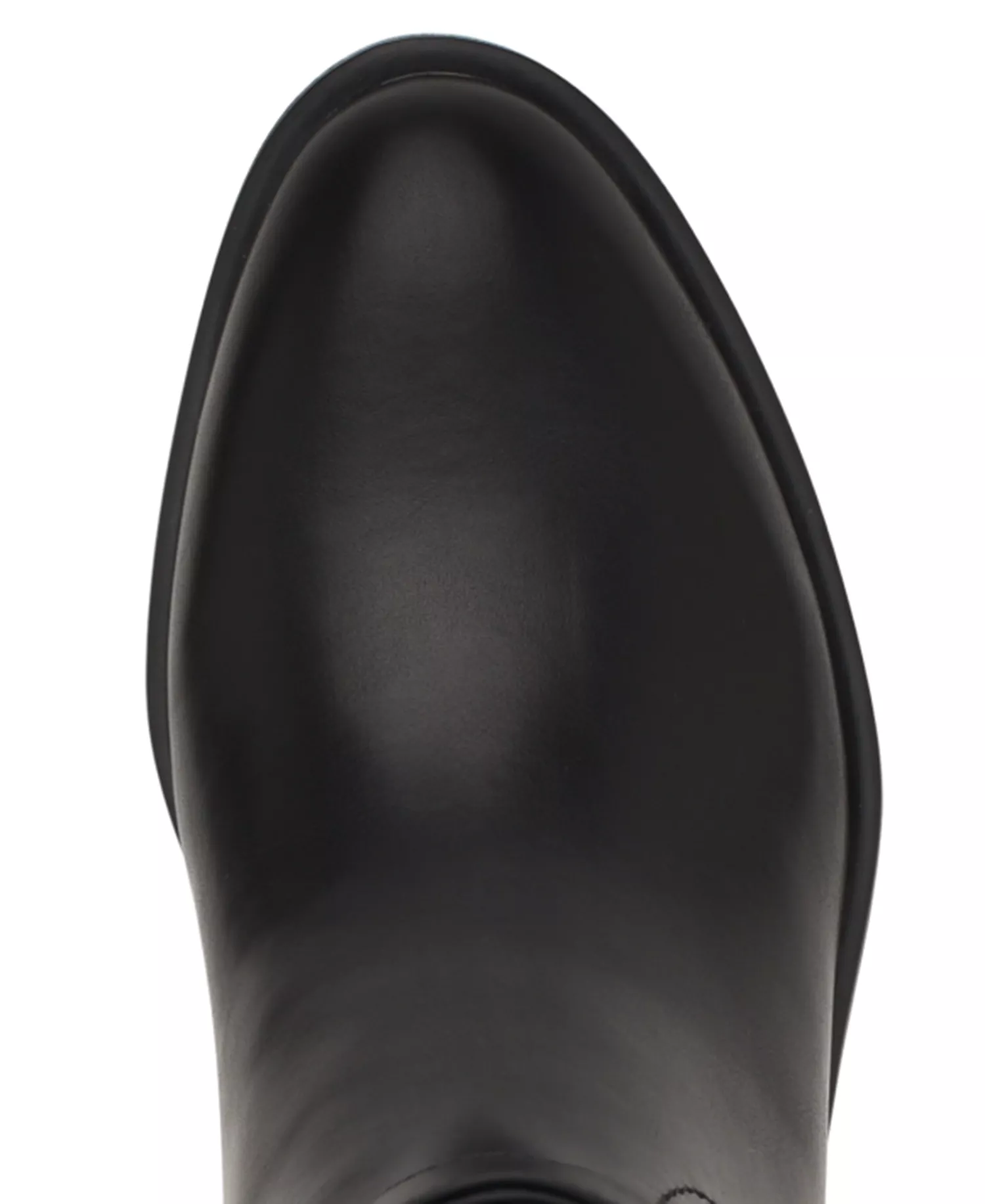 Women's Mireya Tall Buckle Riding Boot, Regular & Wide Calf - Black - 10M - Regular Calf