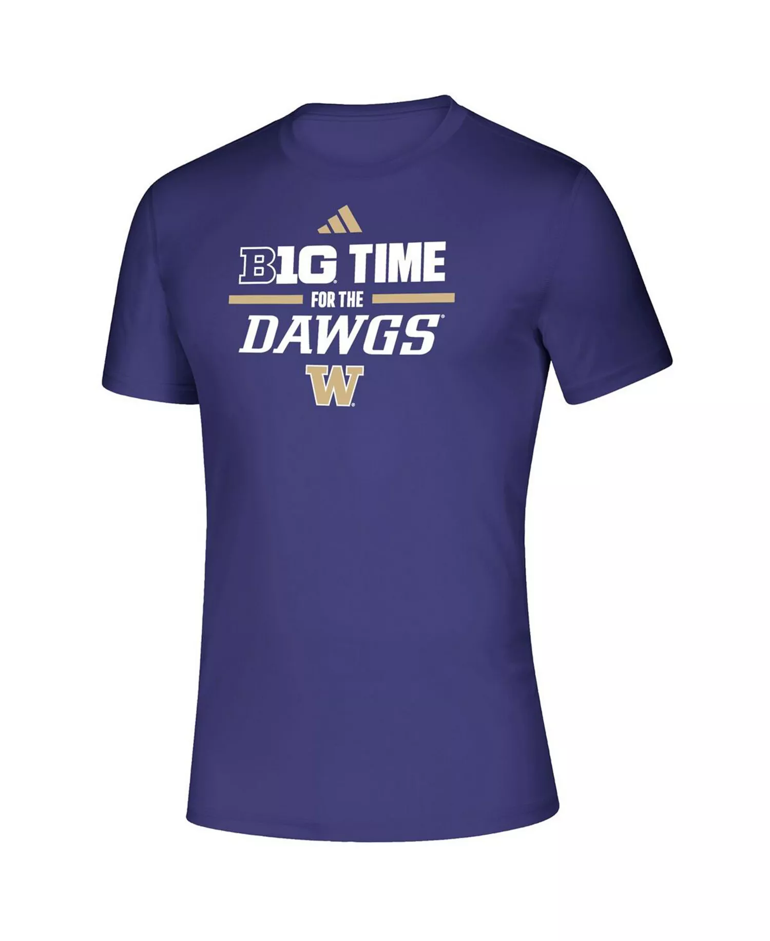 Men's Purple Washington Huskies B1G Time for the Dawgs T-Shirt - Purple - 2XL