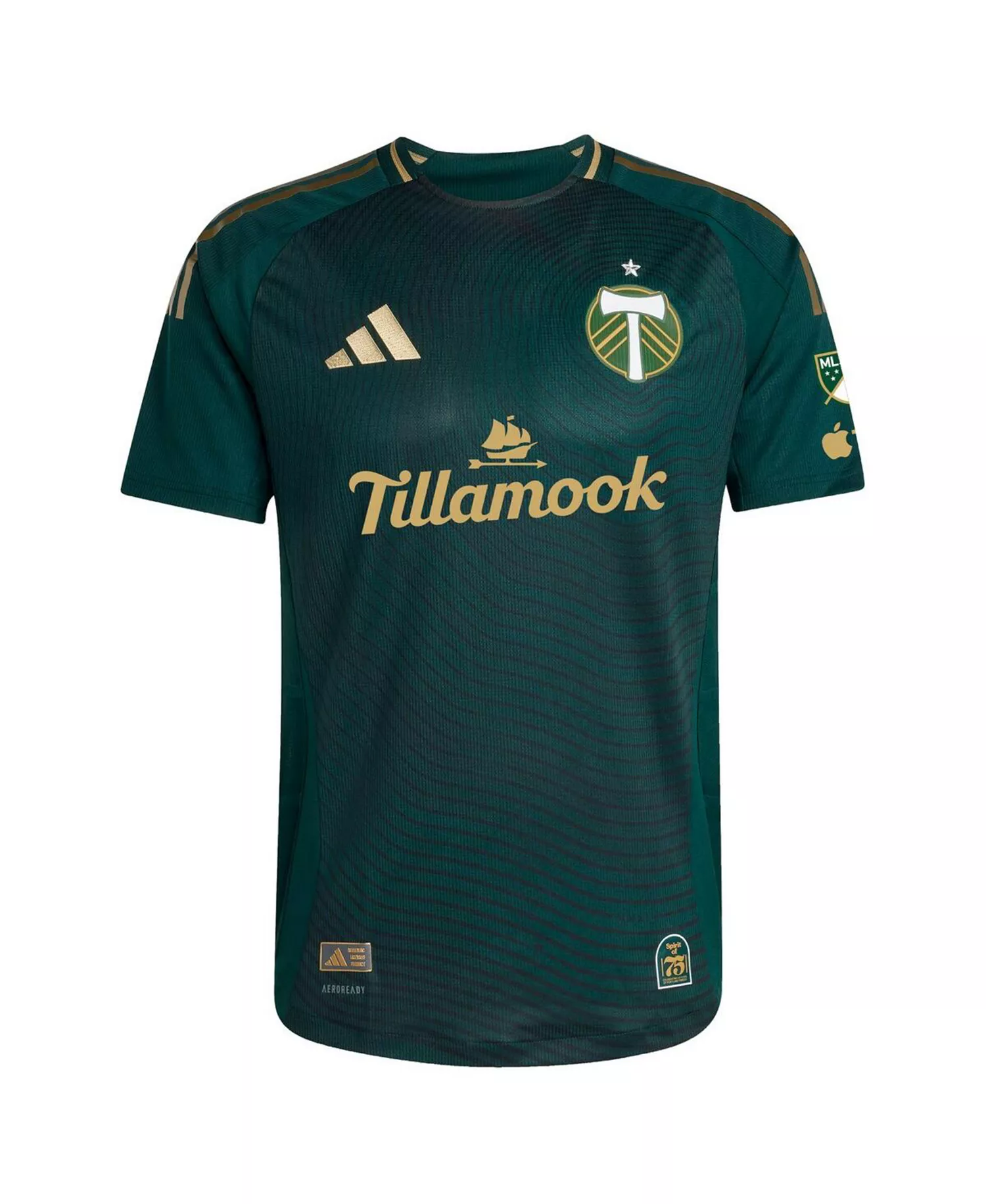 Men's Diego Chara Green Portland Timbers 2025 Forever Green Gold Authentic Player Jersey - Green - 2XL