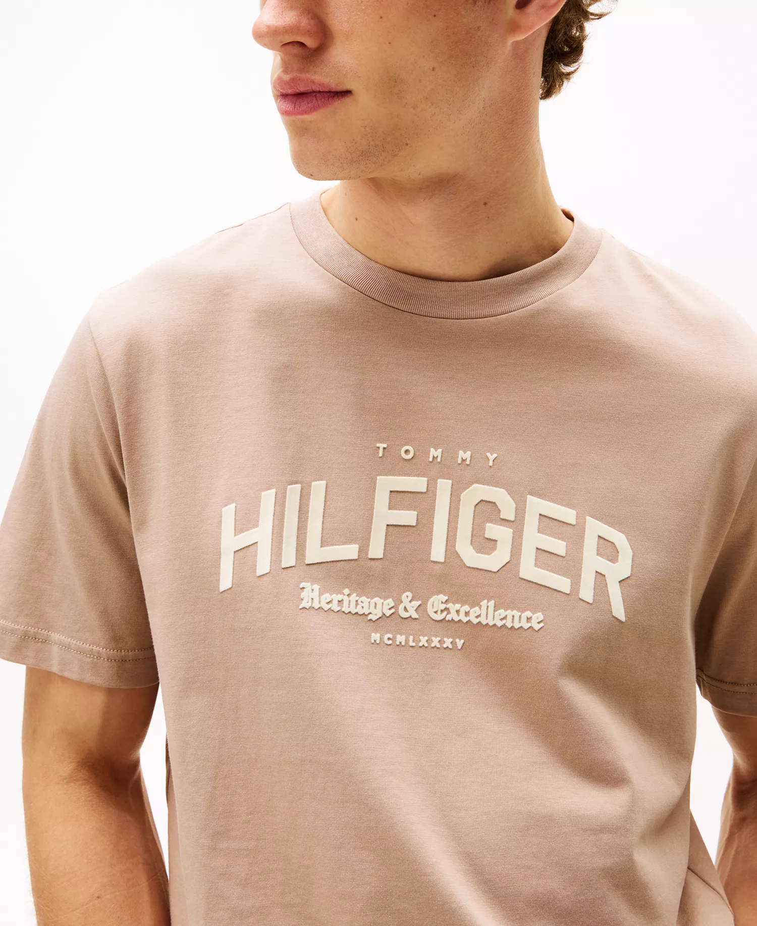 Men's Hilfiger Arch Graphic T-Shirt - Coastal Taupe - XL