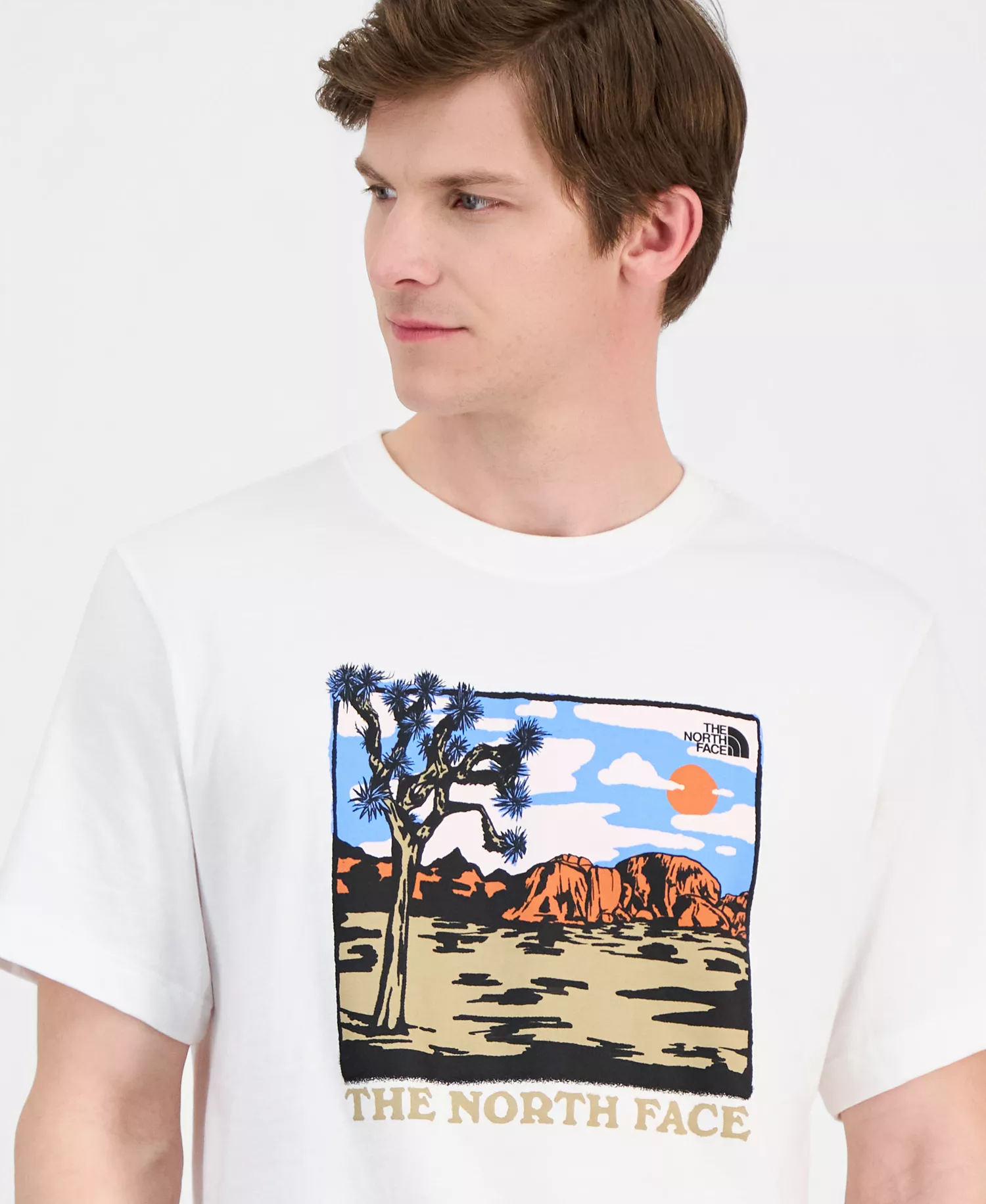 Mens Evolution Desert Graphic Short Sleeve T-Shirt - TNF White - 2XL